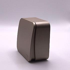 Выключатель  BLANKA 1-клавишный Титан