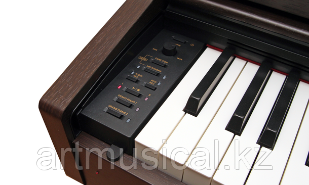 Цифровое фортепиано Celviano AP-470BN - фото 3 - id-p108900755
