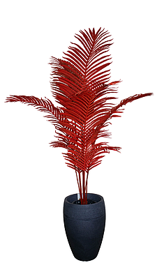 Лайсан Утяшева аяқтары