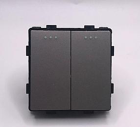 Двухклавишный модуль-выключатель;10А;250В Серый