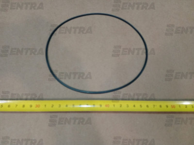 112.07.009.02 кольцо уплотнительное Dana, фото 1