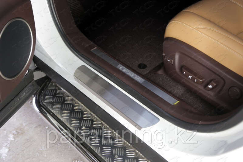 Накладки на пороги (лист шлифованный) 2шт ТСС для Lexus RX200t/RX300/RX350/RX450h (AL20) 2015- (кроме F-Sport) - фото 1 - id-p108851699