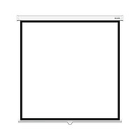 Экран Deluxe DLS-M213xW (84"х84")  Ø - 118"
