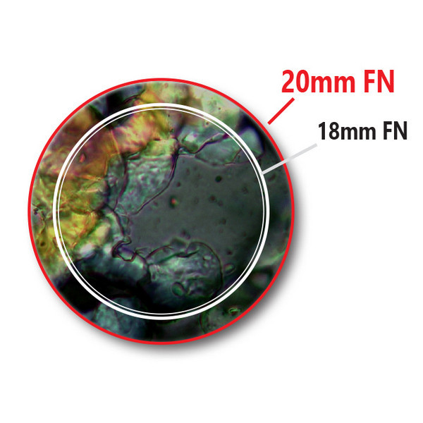 Микроскоп Optika B-383Ph 40x-1000x Trino Phase Contrast - фото 3 - id-p108930658