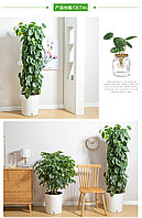 Цветочный горшок. кашпо для растений, фото 4