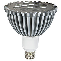 Лампа LED PAR T013 12W 220V E27 (LEDLITE)30шт