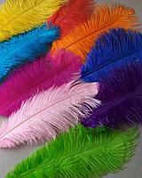 Набор одноцветных перьев Art&Craft