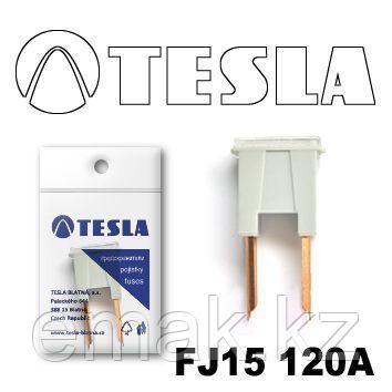 TESLA Предохранитель катриджного типа JCase FJ15 120A /5шт - фото 1 - id-p108998661