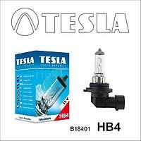 Tesla Лампа галогенная для автомобильных фар HB4, 12V, 51W, P22d
