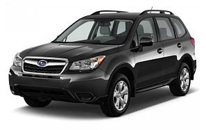 Защита радиатора Subaru Forester