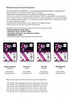 RC260S-A3-20 (Satin) Фотобумага микропористая для струйной печати X-GREE АТЛАСНАЯ A3*297x420мм/20л/260г NEW, фото 2