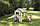 Детский игровой домик Smoby 2 в 1 с песочницей, фото 2