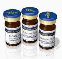 Тикарциллин мононатрий CRS, 250 mg, EP Y0000465 -20°C+/-5°C