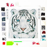 Алмазная вышивка с частичным заполнением «Белый тигр», 37 х 37 см. Набор для творчества, фото 3