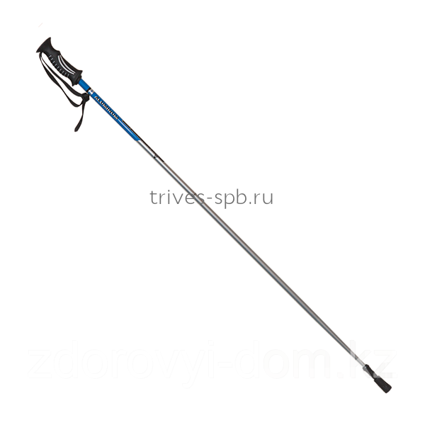 Палки для скандинавской ходьбы 125 см TS-103, фото 1