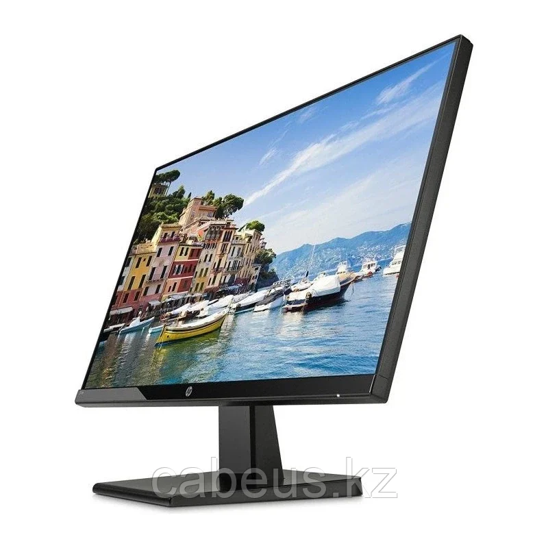 Монитор HP P19b G4 (9TY83AA) (id 109090786)