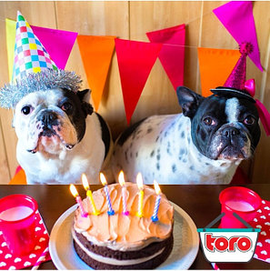 Товары для праздника TORO