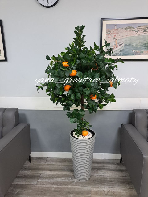 Моншадағы жас бисексуалдар