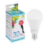 Лампа светодиодная ASD LED-A70-std , Е27, 30 Вт, 230 В, 4000 К, 2700 Лм 5237489, фото 4