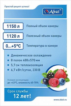 Холодильный шкаф ABAT ШХc‑1,0 краш. (верхний агрегат), фото 2