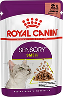 Royal Canin Sensory Smell 12 шт. по 100г влажный корм для взрослых кошек Стимулирует обонятельные рецепторы