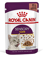 Royal Canin Sensory Taste (әрқайсысы 100 граммнан 12 дана) ерекше дәм қабылдауды ынталандыратын дымқыл мысық тағамы