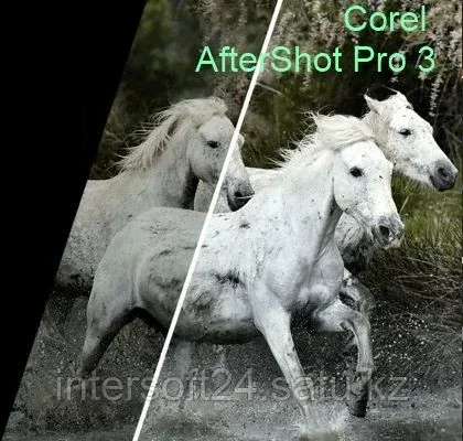 Corel AfterShot Pro 3 ML ESD EN/DE Windows/Mac/Linux - фото 1 - id-p109236885