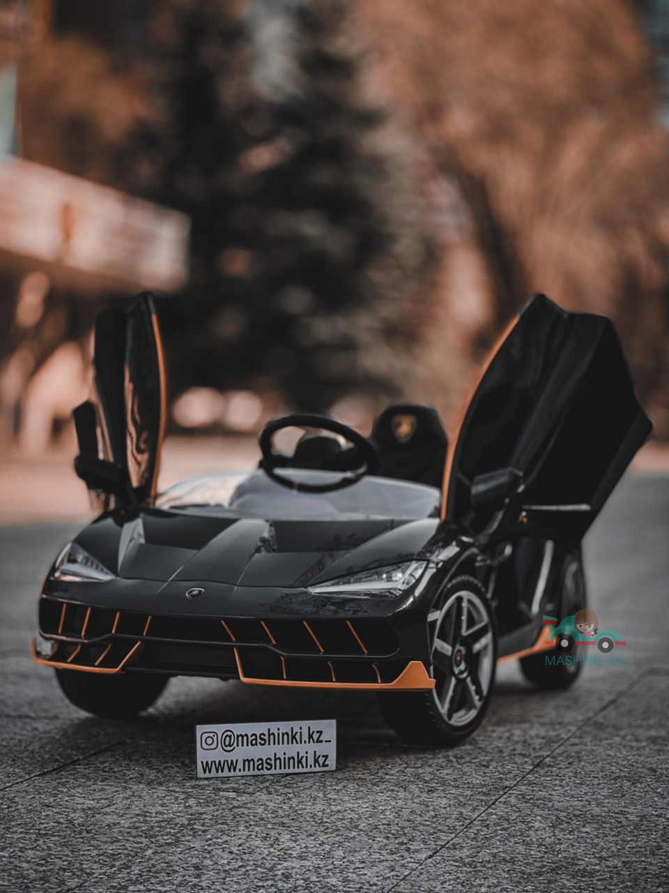 Детский электромобиль Lamborghini Centenario - фото 4 - id-p109237328