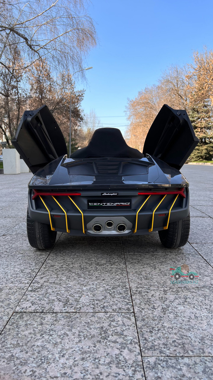 Детский электромобиль Lamborghini Centenario - фото 5 - id-p109237328