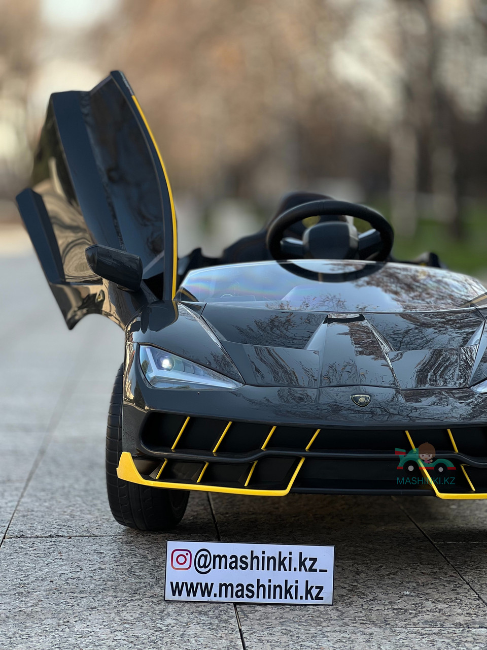 Детский электромобиль Lamborghini Centenario - фото 7 - id-p109237328