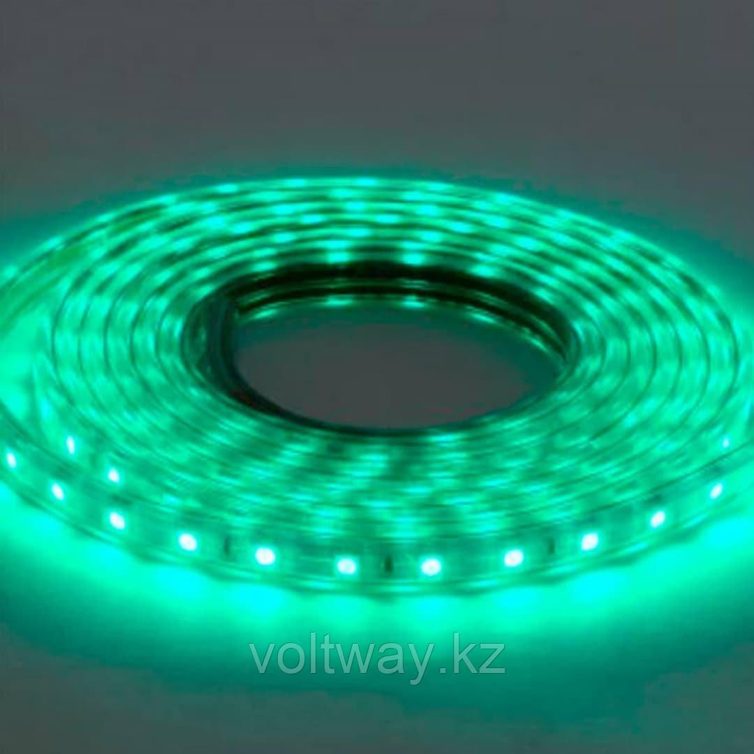Светодиодная лента led 50 метров, зеленый цвет