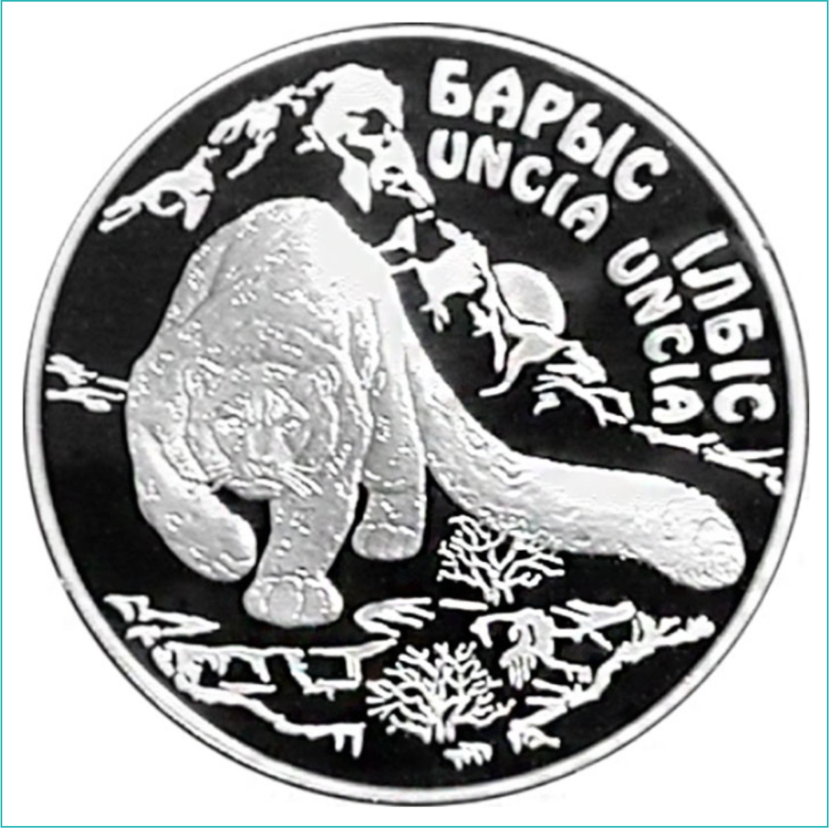 Монета Снежный барс (Барыс Iлбiс) - 500 тенге (Серебро 925) - фото 1 - id-p107676249