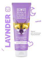 Оттеночный бальзам SPICY LAVENDER Blond Evolution 125мл.