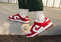 Кроссовки Nike SB Dunk University Red