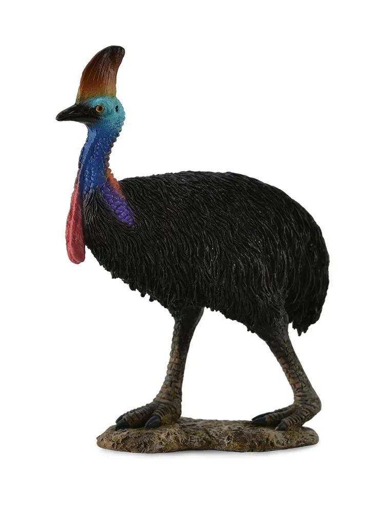 Collecta Фигурка Казуар 88651, 8 см