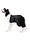 Derri Animals Фигурка Собака Бордер Колли, 9 см. 87339, фото 3