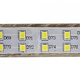 Светодиодная лента двухрядная 50 метров 220в с защитой IP65 белый цвет свечения, фото 2