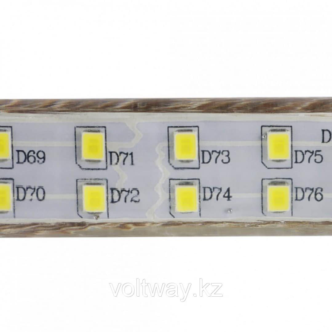 Светодиодная лента двухрядная 50 метров 220в с защитой IP65 синий свет - фото 2 - id-p109296970