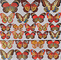 RKA3303 Цветные бабочки