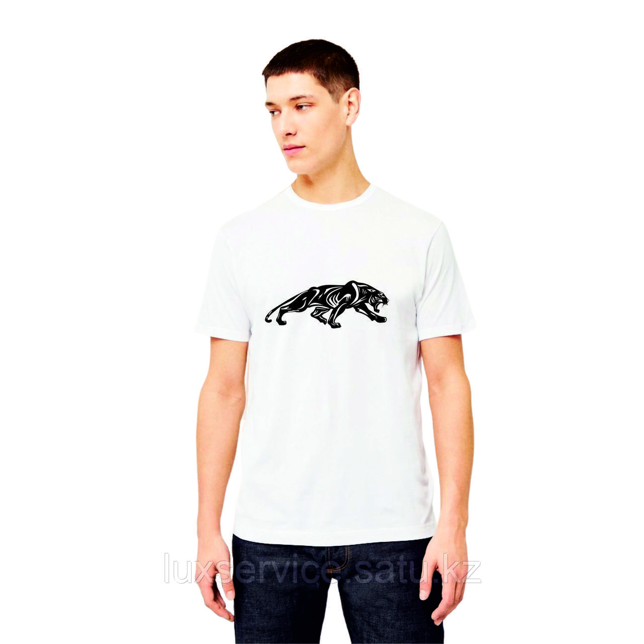 Мужская футболка Коллекция "Жан" (только оптом) - фото 3 - id-p109298290