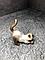 Derri Animals Фигурка Кошка Сиамская, 6 см 87268, фото 6