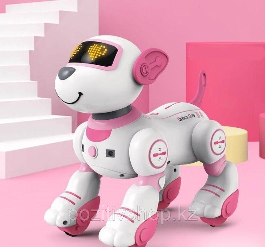 Умный робот-трюкач щенок BG1533 розовый - фото 3 - id-p109334638