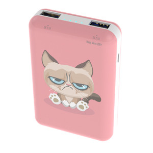 Зарядное устройство Power bank Ritmix RPB-10007 Grumpy Cat - фото 1 - id-p109364718