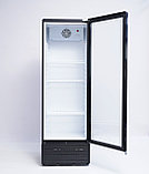 Холодильный шкаф LSCFYP на 230 л, фото 3