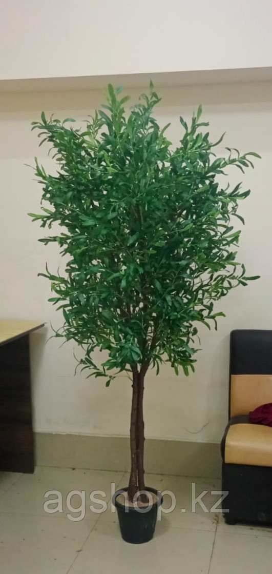 Дерево Олива искусственное от 1,8м. (ботаническая копия) - фото 1 - id-p109386830