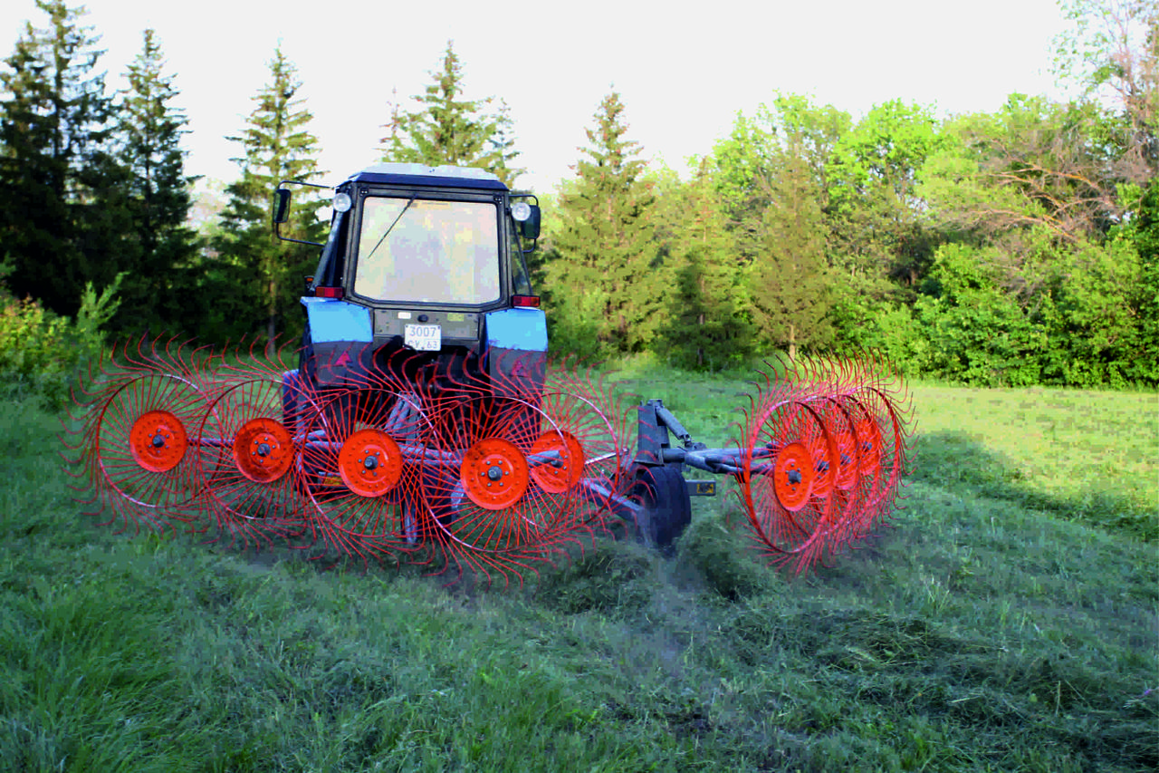 ГРАБЛИ КОЛЕСНО-ПАЛЬЦЕВЫЕ CЕРИИ H90, фото 1