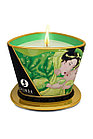 Массажное аромамасло-свеча Shunga, с ароматом зеленого чая, 170 мл, фото 4