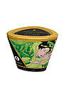 Массажное аромамасло-свеча Shunga, с ароматом зеленого чая, 170 мл, фото 5