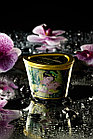 Массажное аромамасло-свеча Shunga, с ароматом зеленого чая, 170 мл, фото 10