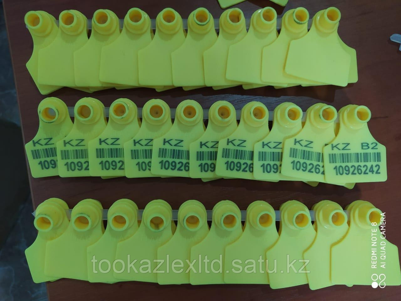 Бирки для КРС, МРС, RFID, Чипы для лошадей, Электронные ушные бирки, Радиочастотные ушные бирки. - фото 1 - id-p84814916